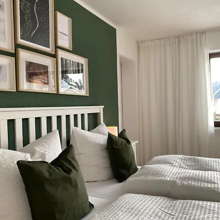 Apartment Waldnest Im Hochschwarzwald Lenzkirch