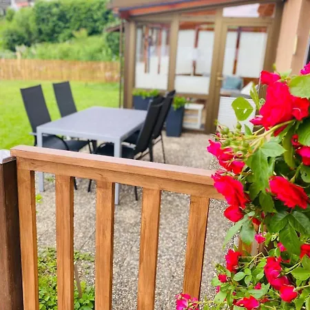 Apartment Waldnest Im Hochschwarzwald Lenzkirch